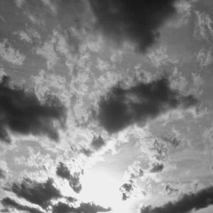 Meet your Posher, Lacey